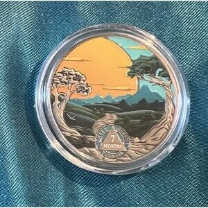 AA 7 Month Sobriety Coin Recovery Addiction NA AA Chip
